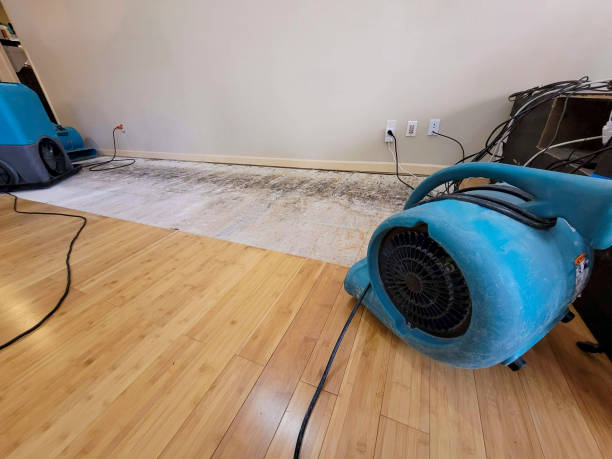 Professional Flood Damage Cleanup technician working in Gibbon, NE